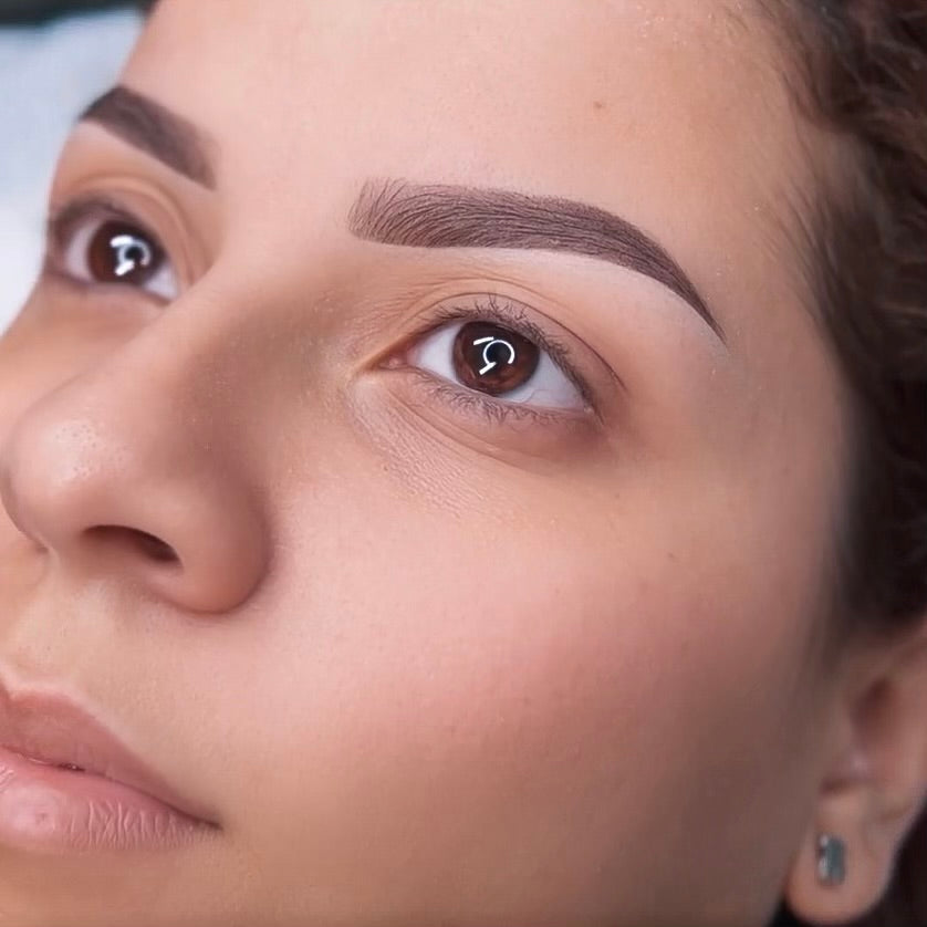 Brow Perfecting Course